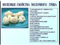 Тибетский молочный гриб