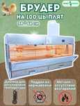 Продам брудер Профессионал 95-БР-1 Престиж на 100 цыплят