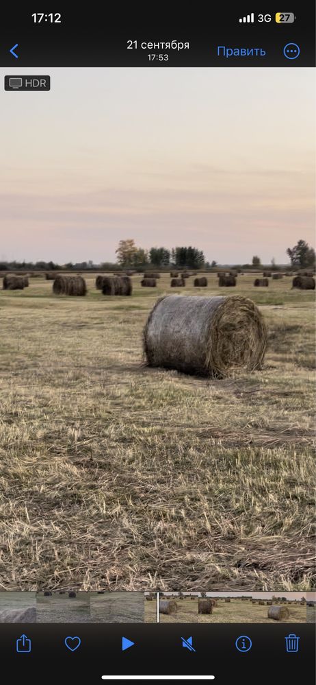 Продам сено в рулонах, житняк, луговое