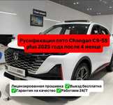 Руссификация китайских авто