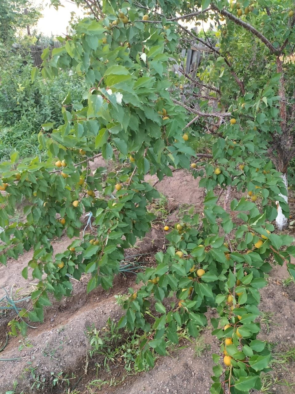 Продам дачу зима лето