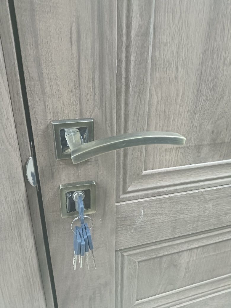 Установка межкомнатных дверей.