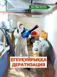 Дезинфекция клопы блоза тараканы  грызуны крысы мышец