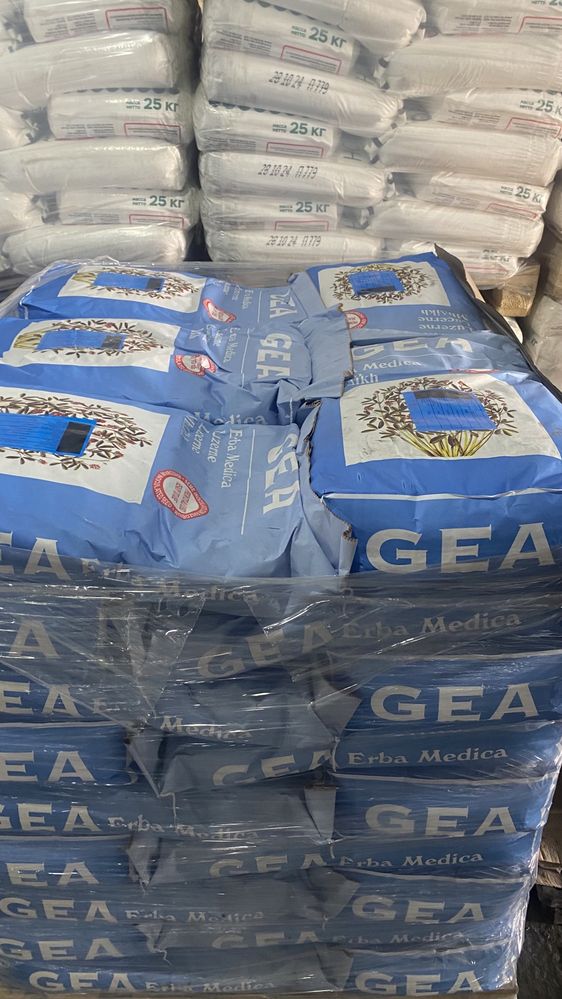 Жоңышқа үрығы ДЖЕА / Семена люцерны GEA оригинал Количество ограничено