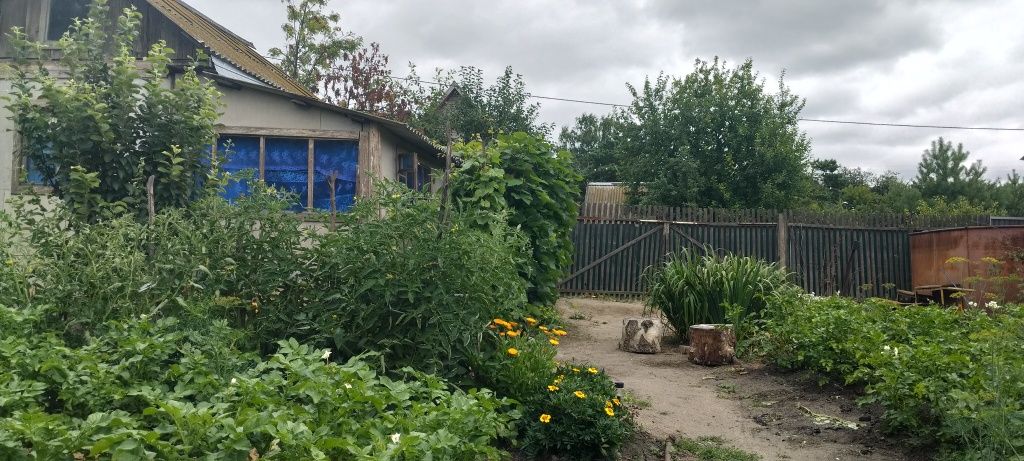 Дача кооператив Двигатель