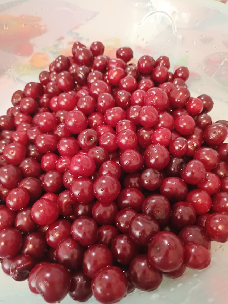 Крупная домашняя вишня