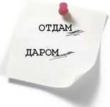 Отдам даром женскую одежду срочно !!!