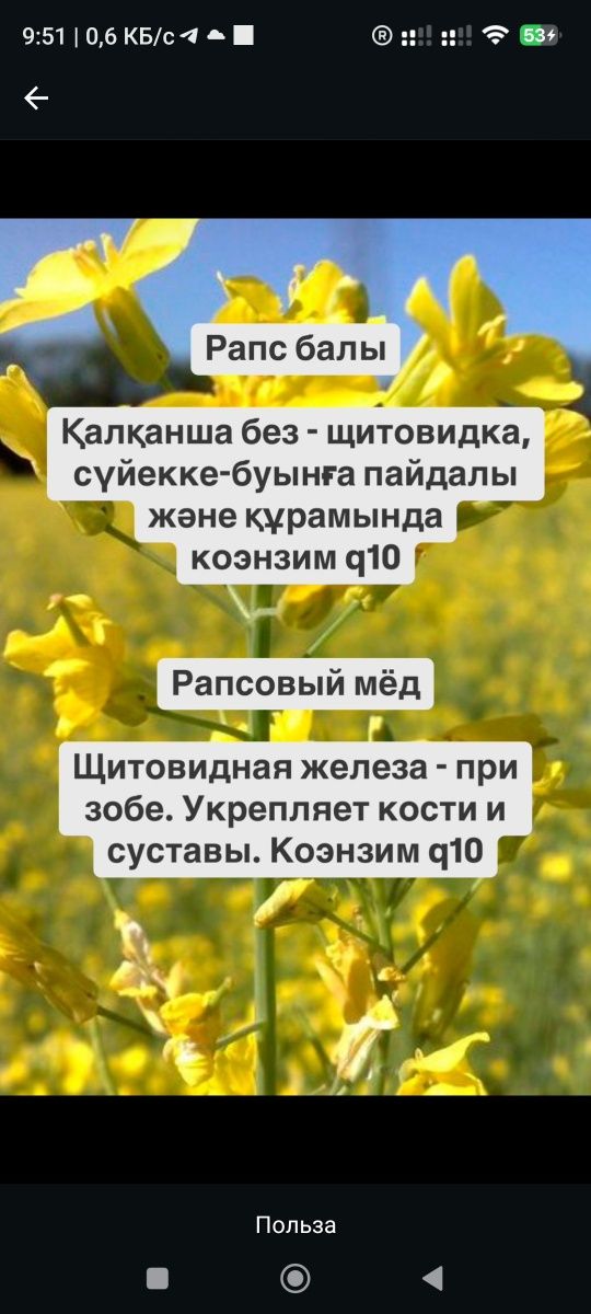 100% Табиғи бал Таза, Мёд Исмаилдан, Қоспасыз Иммунитетке пайдалы!