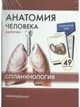 Карточки для изучения Спланхнологии( Анатомия человека)