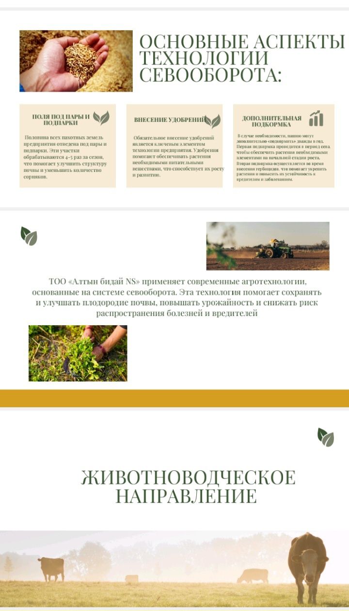 Презентации, курсовые, дипломные, магистерск. проведу через антиплагиа