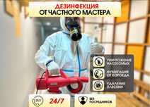 Дезинфекция Уничтожение