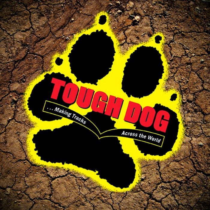Амортизаторы усиленные land cruiser 105 ленд круизер 105- Tough dog