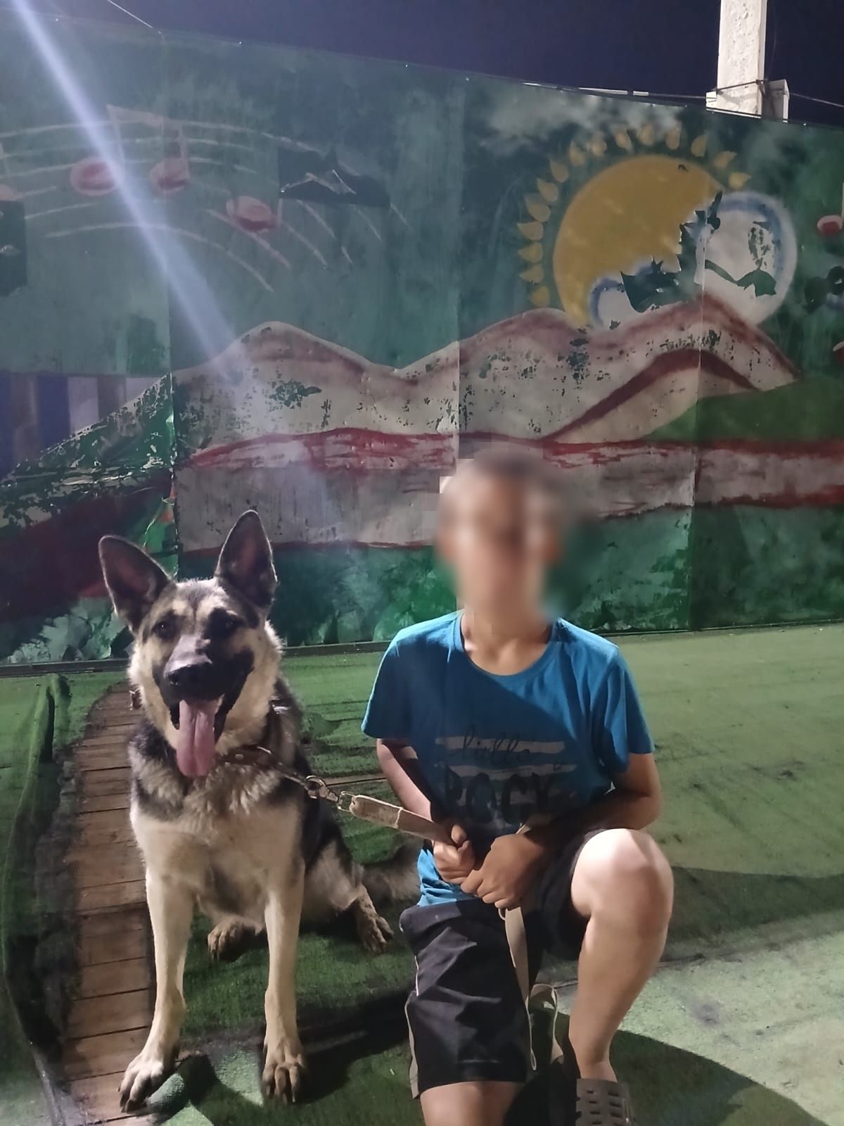 Щенки европейской афчарки ПРОДАЁМ СРОЧНО!!