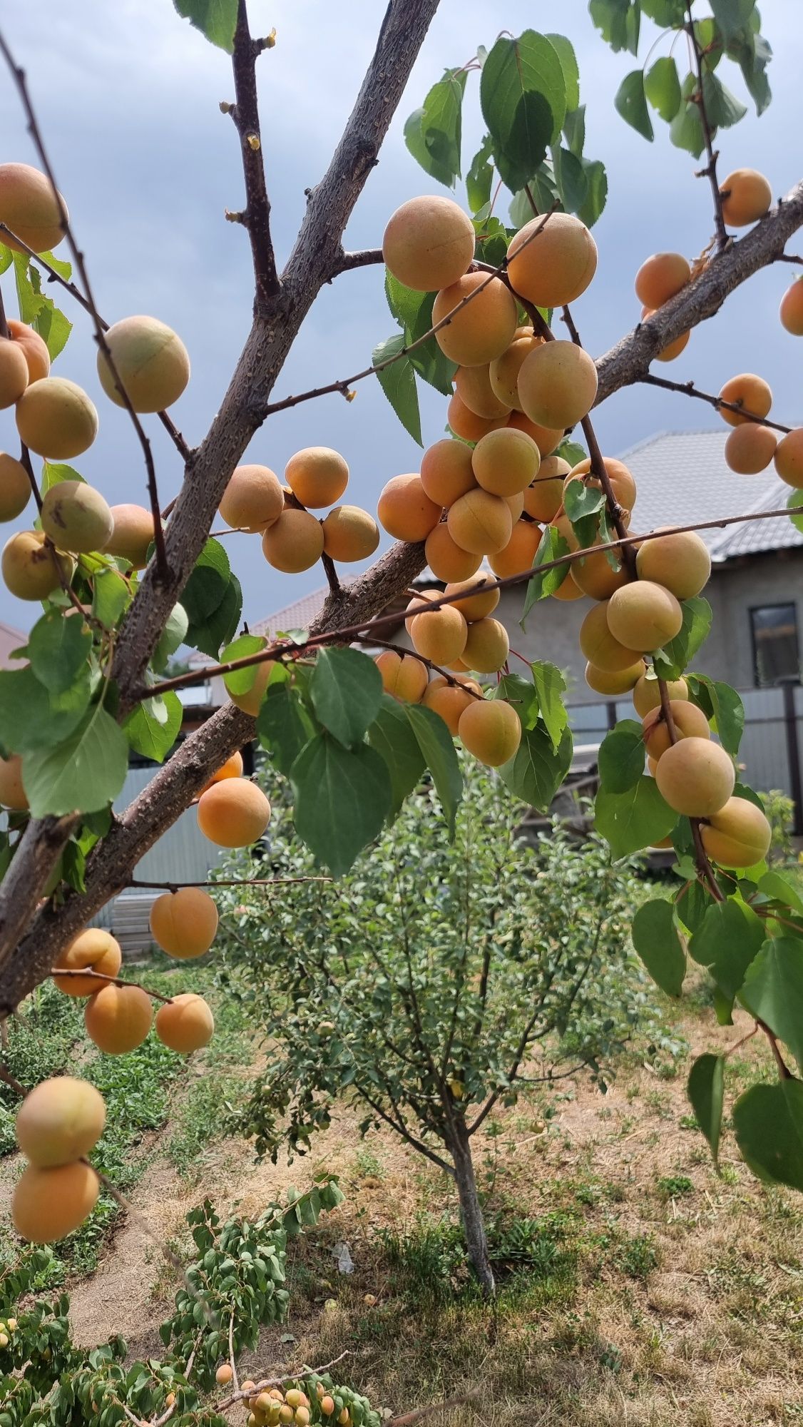 Продам дом в Каскелене