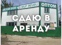 Сдается в аренду