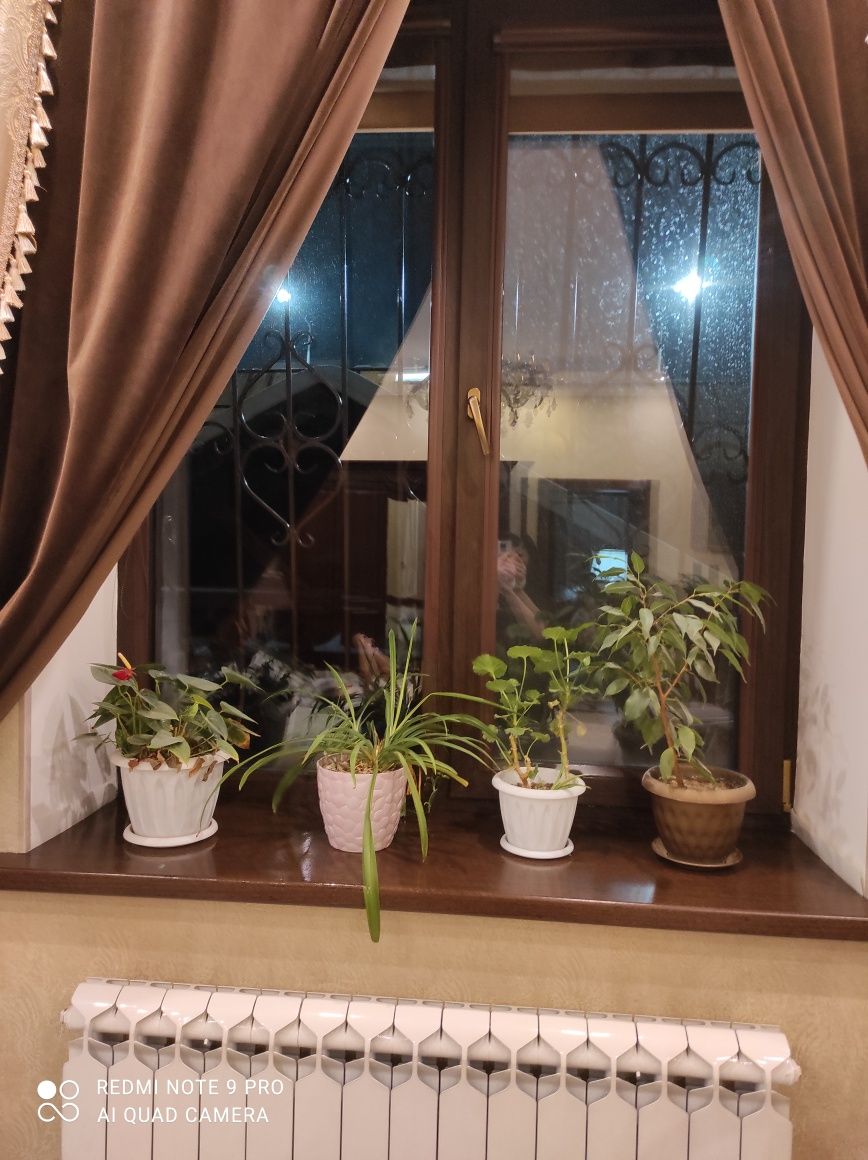 Уборка офисов, квартир, помещений, клининг