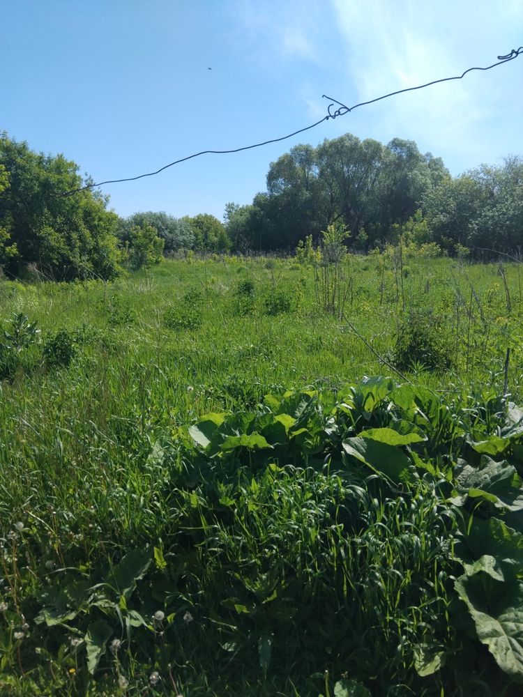 Продам дом на Согре