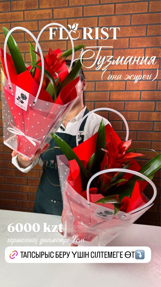 Комнатные цветы лучшего качества в Кульсары