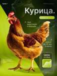 Куры несушки  ломан браун