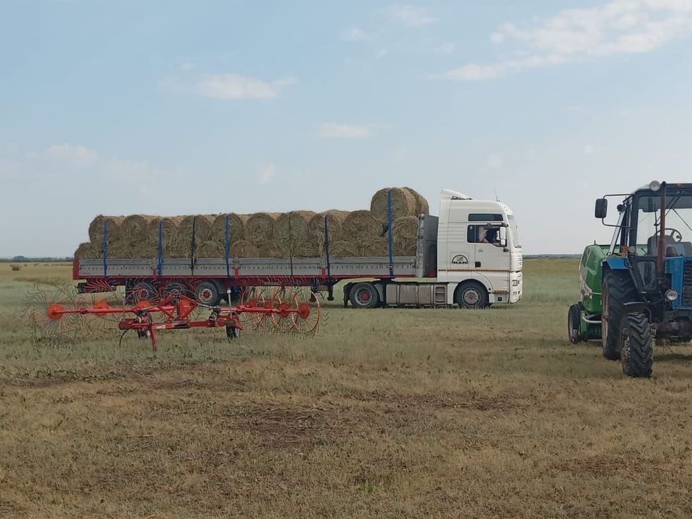 Продам сено отличного качества
