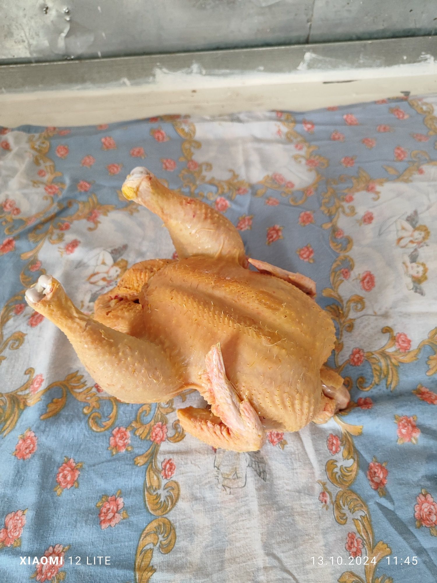 Мясо домашних бройлеров