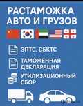 Растаможка, Таможный