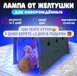 Аренда фотолампы от желтушки