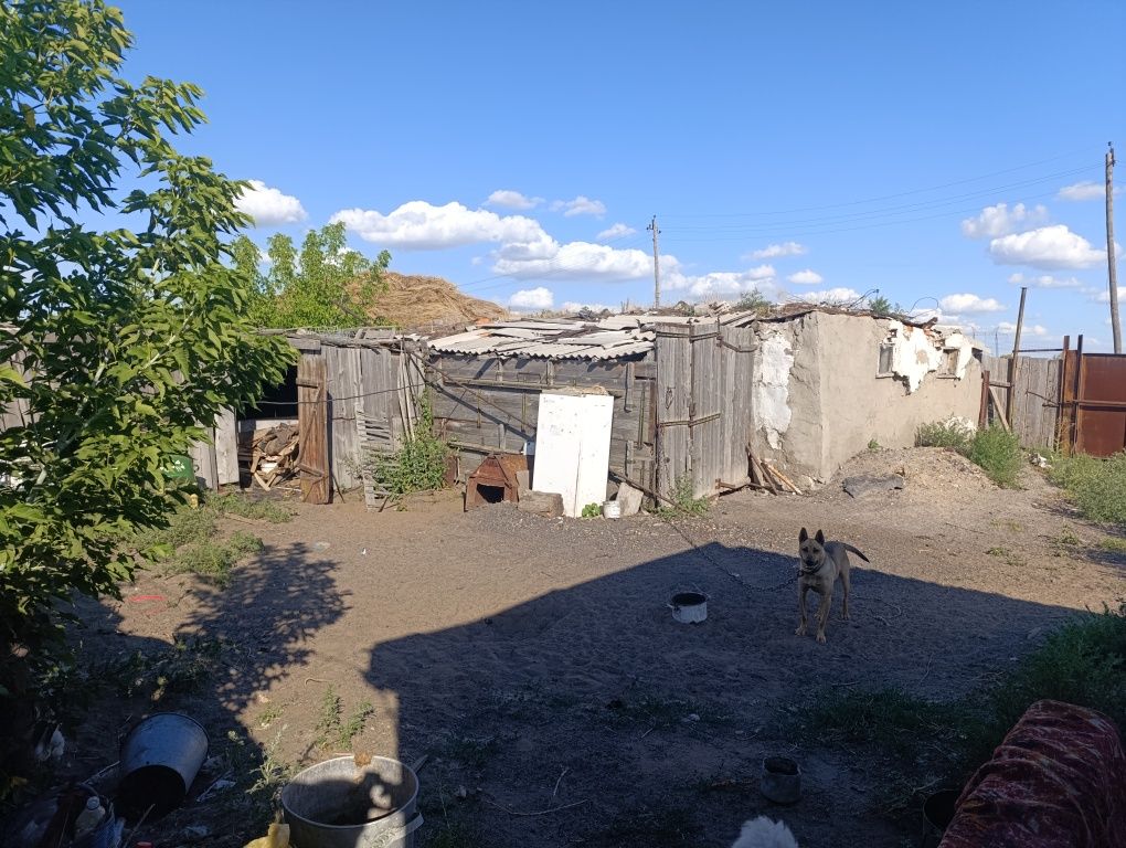 Частный дом, поселок заря