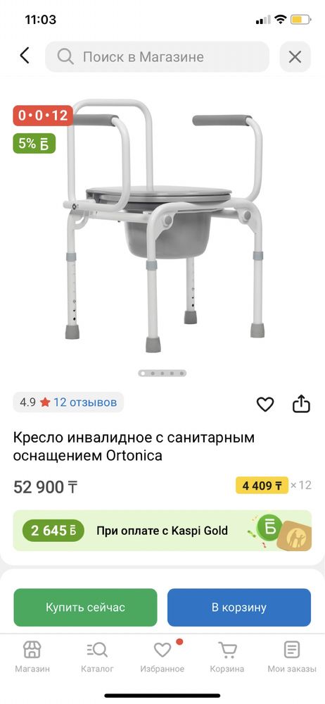 Кресло туалет для людей с ограниченными возможностями