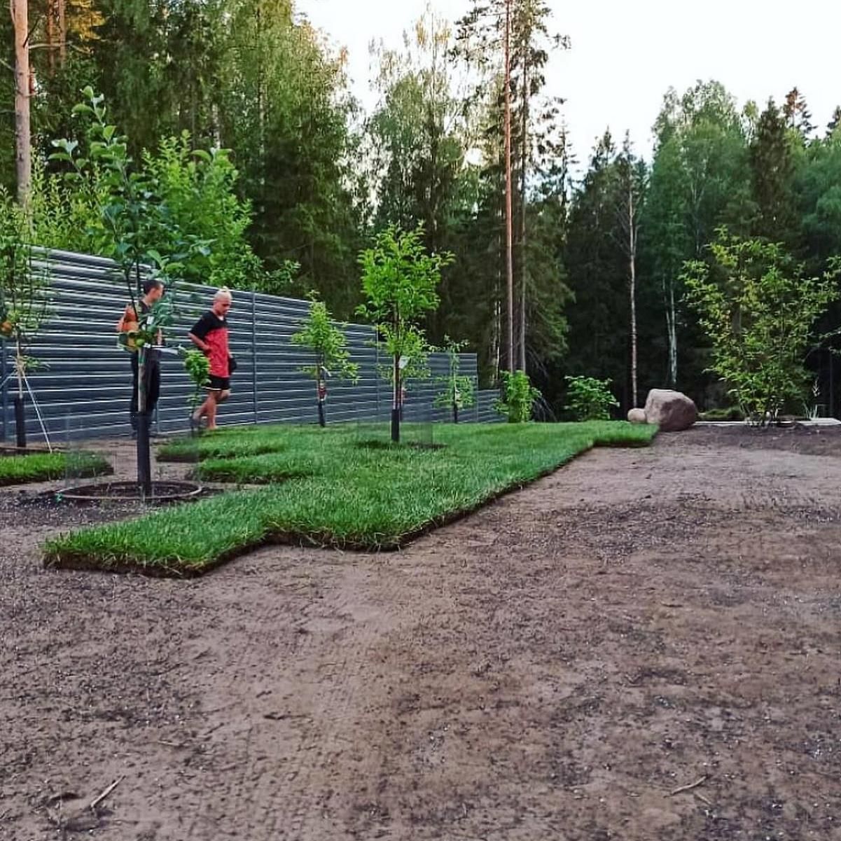. Газон рулонный Алматы под ключ с гарантией