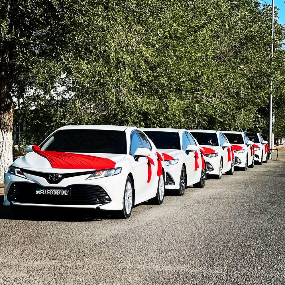 Аренда авто Прокат Кортеж Камри Camry Выписка