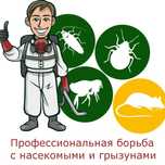 Клопы Кандала Тараканы Дезинфектор Дезинсекция
