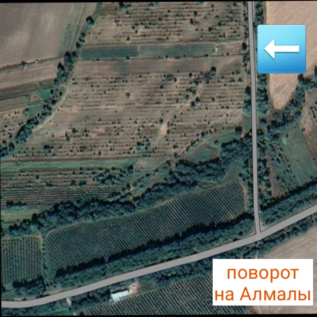 Земля 1 га, выкуплена.
