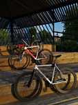 Low II fixed gear