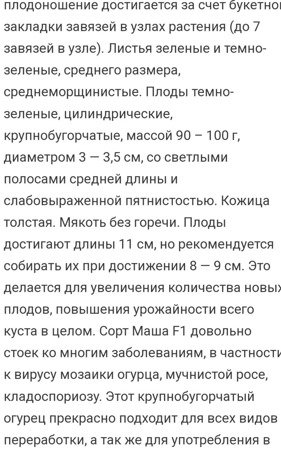 Продам семена огурцов.