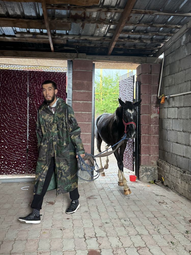 Бояан 2жас Құнан