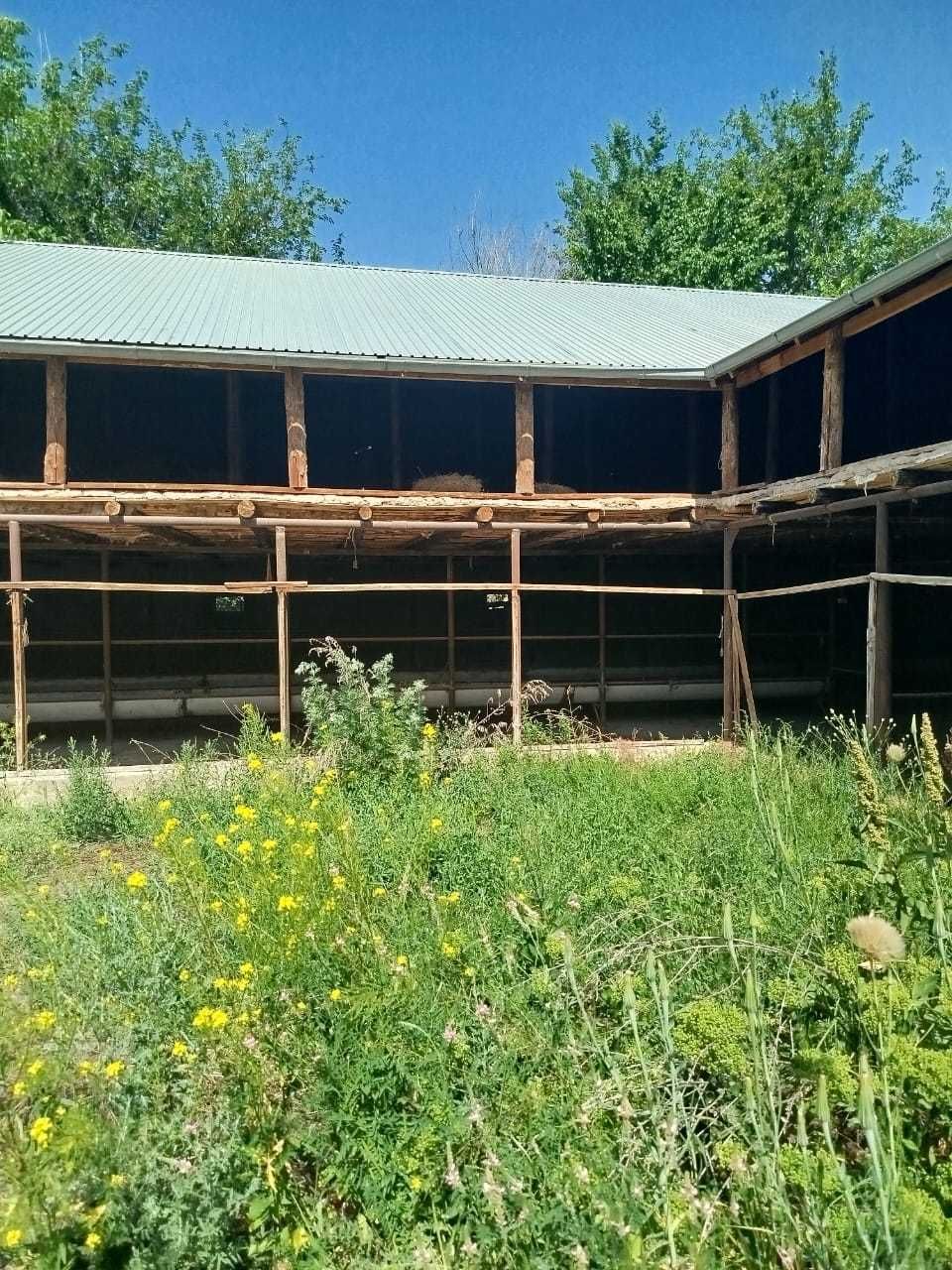 Продается ферма для откорма КРС,лошадей и баранов