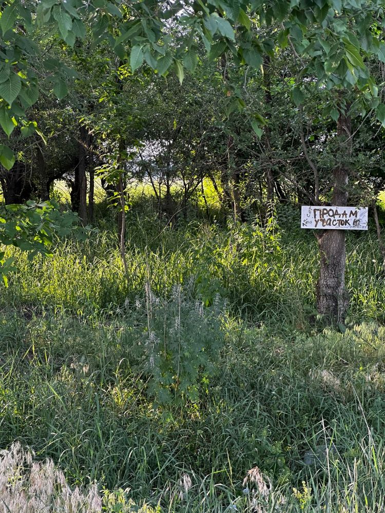 Участок 12 соток, Кокозек