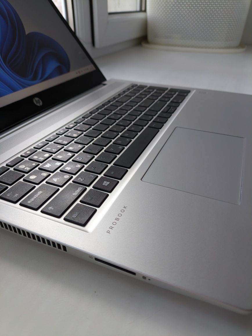 HP ProBook 455 G7