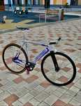 Fixed Gear Veloline Christophorus