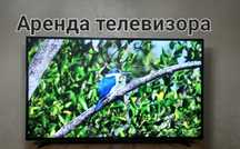 Аренда телевизора, стоек.