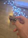 Серебреное кольцо 925 пр