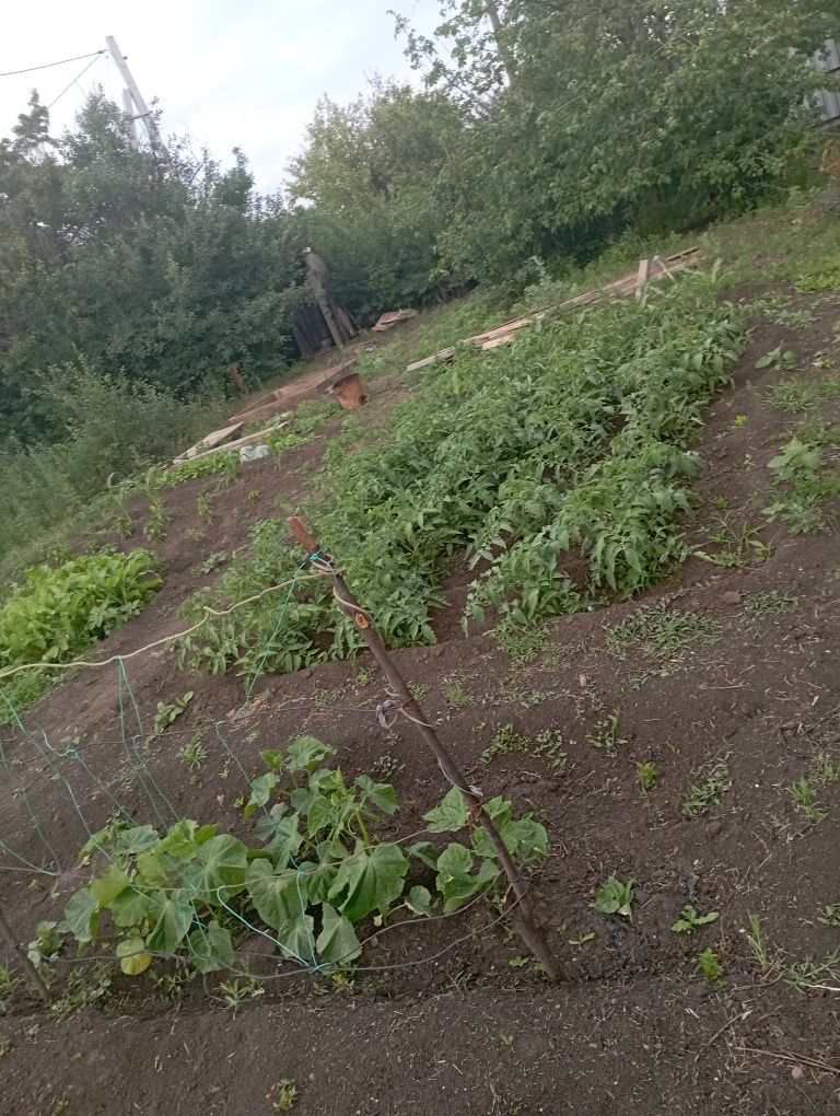 Продам дачу 2 дачная
