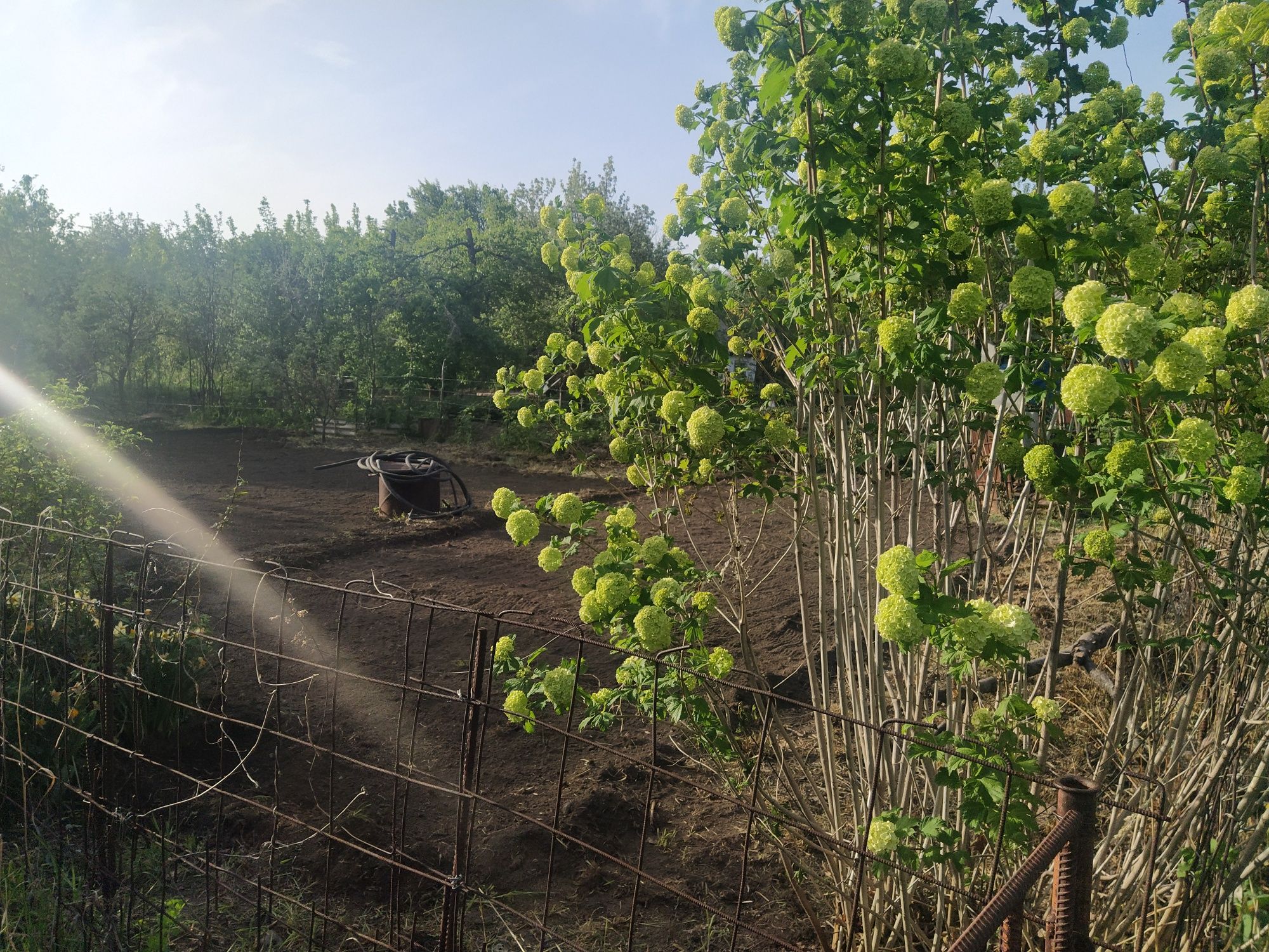 Продам дачу 6 соток