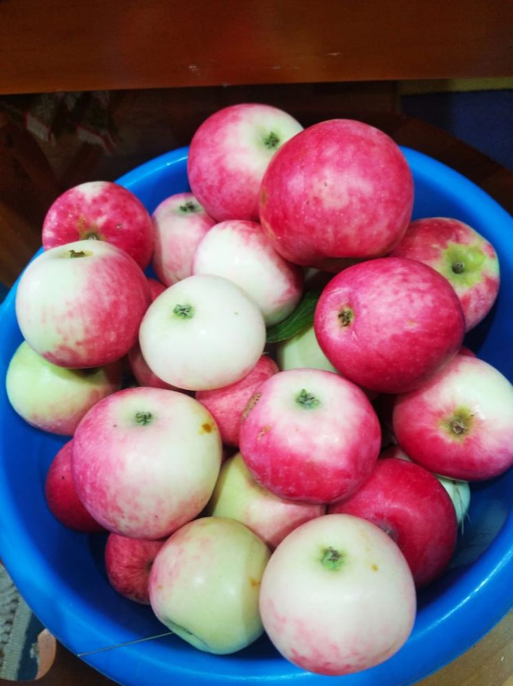 Продам сочные и сладкие яблоки с дачи