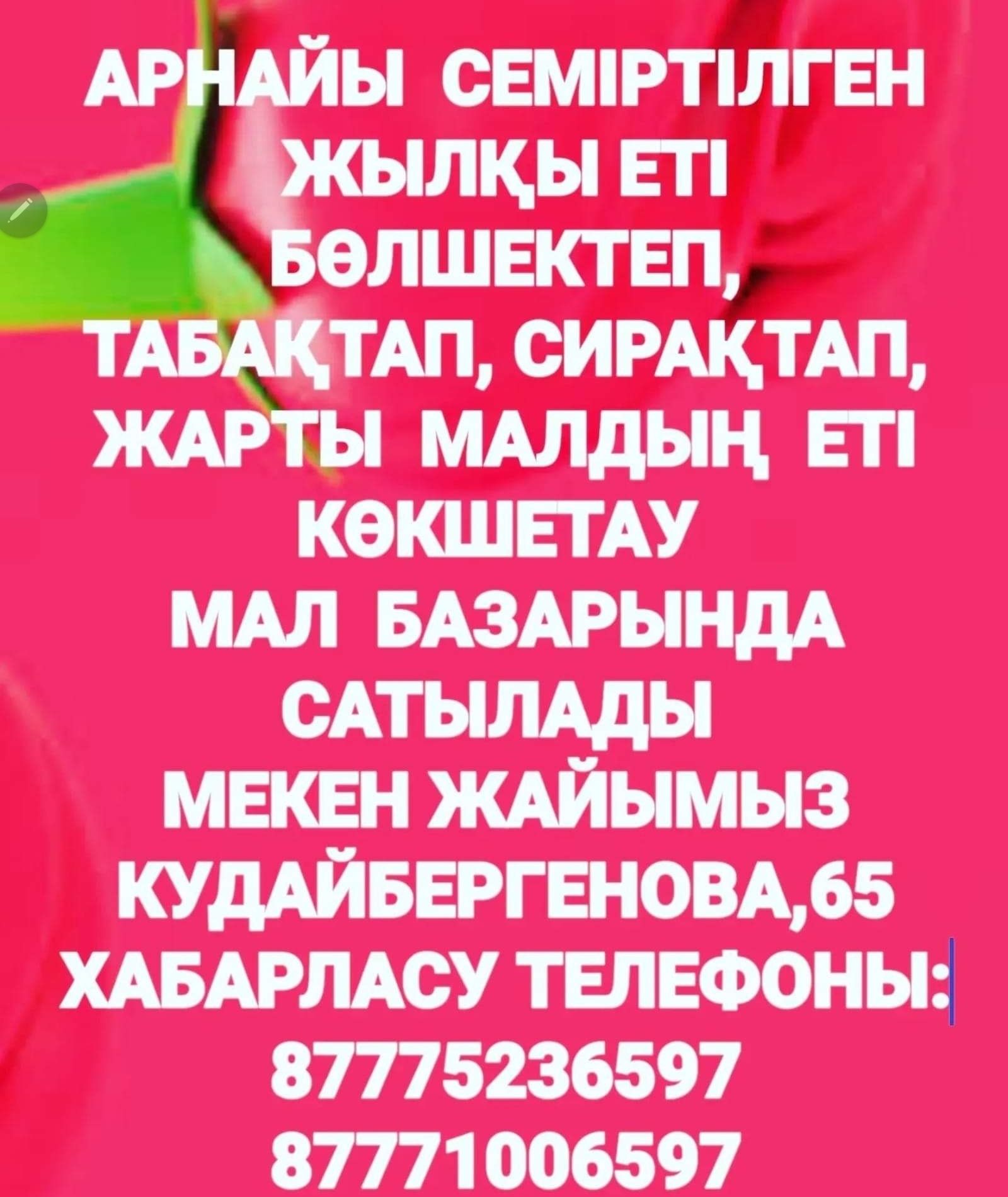 Откормленные лошади
