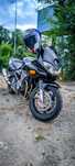 Suzuki bandit 2003