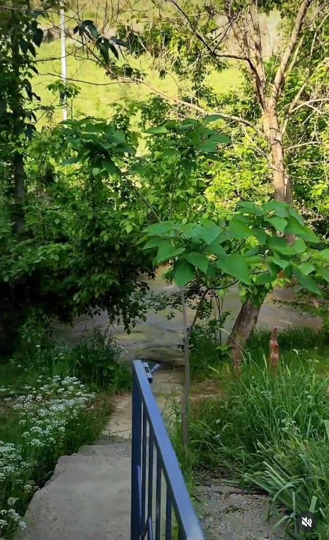 Аренда дача Машат посуточно