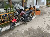 Peda Shark 125кубов