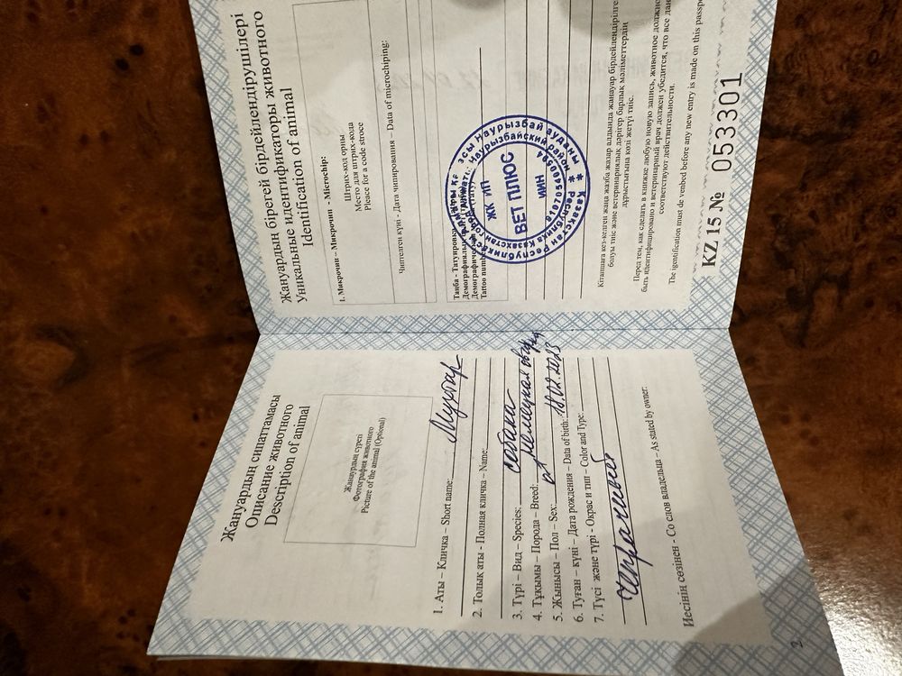 Ищем партнершу для вязки немецкой овчарки!
